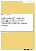 E-Book (pdf) Die Europäische Wirtschafts- und Währungsunion: Eine Analyse der Entwicklung bis heute und der Zukunftsaussichten für den weiteren Fortgang von Oliver Schäfer