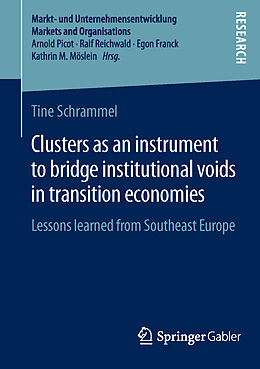 Kartonierter Einband Clusters as an instrument to bridge institutional voids in transition economies von Tine Schrammel