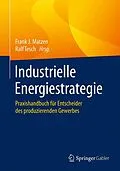 E-Book (pdf) Industrielle Energiestrategie von 