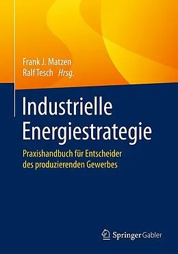 E-Book (pdf) Industrielle Energiestrategie von 
