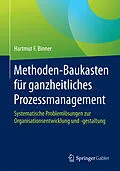 E-Book (pdf) Methoden-Baukasten für ganzheitliches Prozessmanagement von Hartmut F. Binner