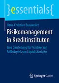 E-Book (pdf) Risikomanagement in Kreditinstituten von Hans-Christian Brauweiler