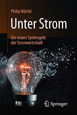 E-Book (pdf) Unter Strom von Philip Würfel