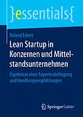E-Book (pdf) Lean Startup in Konzernen und Mittelstandsunternehmen von Roland Eckert
