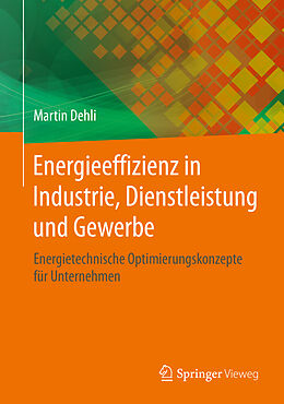Fester Einband Energieeffizienz in Industrie, Dienstleistung und Gewerbe von Martin Dehli