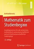 E-Book (pdf) Mathematik zum Studienbeginn von Arnfried Kemnitz