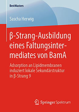 Kartonierter Einband -Strang-Ausbildung eines Faltungsintermediates von BamA von Sascha Herwig