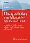 E-Book (pdf) -Strang-Ausbildung eines Faltungsintermediates von BamA von Sascha Herwig