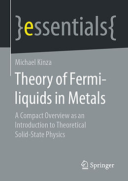 Kartonierter Einband Theory of Fermi-liquids in Metals von Michael Kinza