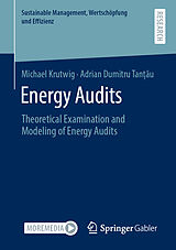 eBook (pdf) Energy Audits de Michael Krutwig, Adrian Dumitru Tan au