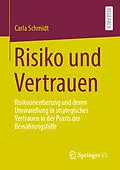 E-Book (pdf) Risiko und Vertrauen von Carla Schmidt