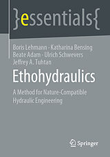 eBook (pdf) Ethohydraulics de Boris Lehmann, Katharina Bensing, Beate Adam