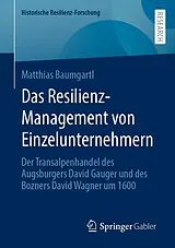 E-Book (pdf) Das Resilienz-Management von Einzelunternehmern von Matthias Baumgartl