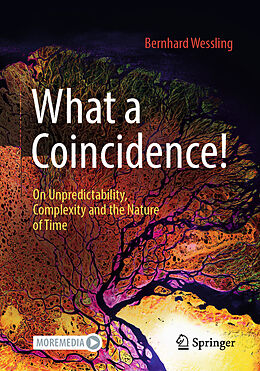 eBook (pdf) What a Coincidence! de Bernhard Wessling