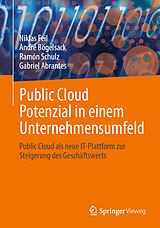 E-Book (pdf) Public Cloud Potenzial in einem Unternehmensumfeld von Niklas Feil, André Bögelsack, Ramón Schulz