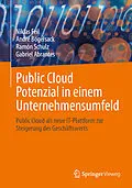 E-Book (pdf) Public Cloud Potenzial in einem Unternehmensumfeld von Niklas Feil, André Bögelsack, Ramón Schulz