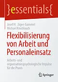 E-Book (pdf) Flexibilisierung von Arbeit und Personaleinsatz von Josef H. Jäger-Gammel, Michael Knoblauch