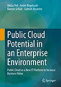 E-Book (pdf) Public Cloud Potential in an Enterprise Environment von Niklas Feil, André Bögelsack, Ramón Schulz