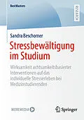 E-Book (pdf) Stressbewältigung im Studium von Sandra Beschorner