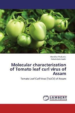 Kartonierter Einband Molecular characterization of Tomato leaf curl virus of Assam von Bandita Thakuria, Palash Deb Nath