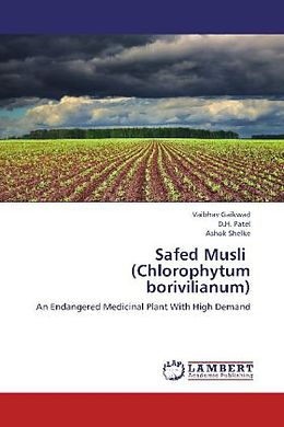 Kartonierter Einband Safed Musli (Chlorophytum borivilianum) von Vaibhav Gaikwad, D. H. Patel, Ashok Shelke