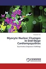 Kartonierter Einband (Kt) Myocyte Nuclear Chamges in End-Stage Cardiomyopathies von Shaomin Yan