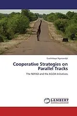 Kartonierter Einband (Kt) Cooperative Strategies on Parallel Tracks von Guelmbaye Ngarsandjé
