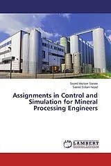 Kartonierter Einband Assignments in Control and Simulation for Mineral Processing Engineers von Seyed Maziyar Sanaie, Saeed Soltani Nejad