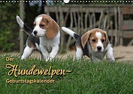 Kalender Der Hundewelpen-Geburtstagskalender (Wandkalender immerwährend DIN A3 quer) von Pferdografen.de - Antje Lindert Rottke + Martina Berg