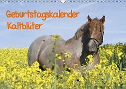 Kalender Geburtstagskalender - Kaltblüter (Wandkalender immerwährend DIN A3 quer) von Antje Lindert-Rottke