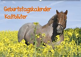 Kalender Geburtstagskalender - Kaltblüter (Wandkalender immerwährend DIN A2 quer) von Antje Lindert-Rottke