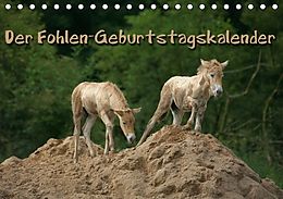 Kalender Der Fohlen-Geburtstagskalender (Tischkalender immerwährend DIN A5 quer) von Martina Berg