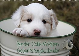 Kalender Border Collie-Welpen Geburtstagskalender (Wandkalender immerwährend DIN A2 quer) von Antje Lindert-Rottke