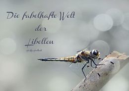 Kalender Die fabelhafte Welt der Libellen (Tischaufsteller DIN A5 quer) von Heike Hultsch