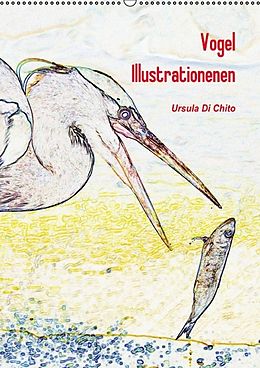 Kalender Vogel Illustrationen (Wandkalender immerwährend DIN A2 hoch) von Ursula Di Chito
