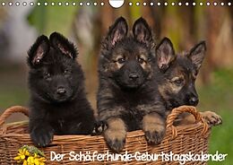 Kalender Der Schäferhunde-Geburtstagskalender (Wandkalender immerwährend DIN A4 quer) von Tina Mauersberger