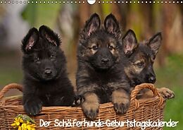 Kalender Der Schäferhunde-Geburtstagskalender (Wandkalender immerwährend DIN A3 quer) von Tina Mauersberger