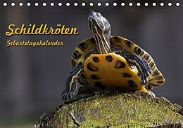 Kalender Schildkröten Geburtstagskalender (Tischkalender immerwährend DIN A5 quer) von Martina Berg