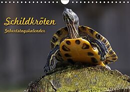 Kalender Schildkröten Geburtstagskalender (Wandkalender immerwährend DIN A4 quer) von Martina Berg