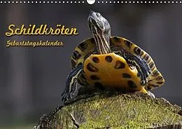 Kalender Schildkröten Geburtstagskalender (Wandkalender immerwährend DIN A3 quer) von Martina Berg