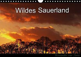 Kalender Wildes Sauerland (Wandkalender immerwährend DIN A4 quer) von Alexander von Düren