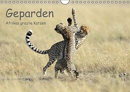 Kalender Geparden - Afrikas grazile Katzen (Wandkalender immerwährend DIN A4 quer) von Thorsten Jürs