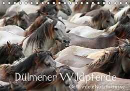 Kalender Dülmener Wildpferde - Gefährdete Nutztierrasse (Tischkalender immerwährend DIN A5 quer) von Barbara Mielewczyk
