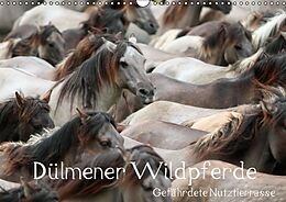 Kalender Dülmener Wildpferde - Gefährdete Nutztierrasse (Wandkalender immerwährend DIN A3 quer) von Barbara Mielewczyk