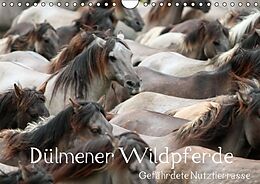 Kalender Dülmener Wildpferde - Gefährdete Nutztierrasse (Wandkalender immerwährend DIN A4 quer) von Barbara Mielewczyk