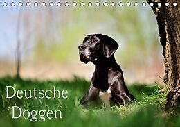 Kalender Deutsche Doggen / Geburtstagskalender (Tischkalender immerwährend DIN A5 quer) von Nicole Noack