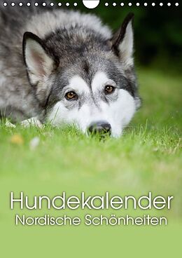 Kalender Hundekalender - Nordische Schönheiten (Wandkalender immerwährend DIN A4 hoch) von Nicole Noack