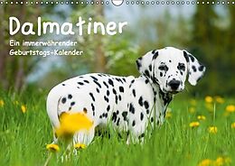 Kalender Dalmatiner - Ein immerwährender Geburtstags-Kalender (Wandkalender immerwährend DIN A3 quer) von Judith Dzierzawa