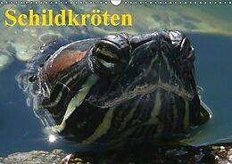 Kalender Schildkröten (Wandkalender immerwährend DIN A3 quer) von Elisabeth Stanzer