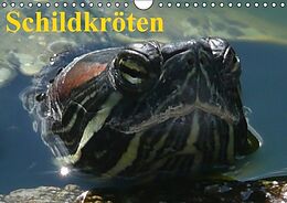 Kalender Schildkröten (Wandkalender immerwährend DIN A4 quer) von Elisabeth Stanzer